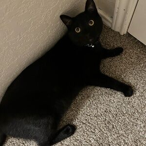 Meet your Posher, Uno